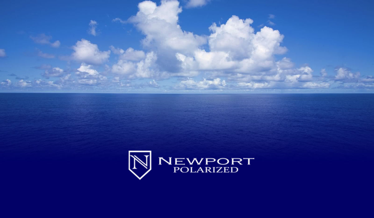 Newport Polarized Newport Polarized by QUANTUM VISION OPTICS