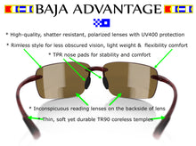 Load image into Gallery viewer, Baja Tortoise / Amber Bi-Focal